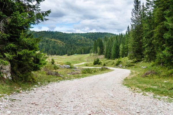 Cost of Gravel Road Grading in Powell
