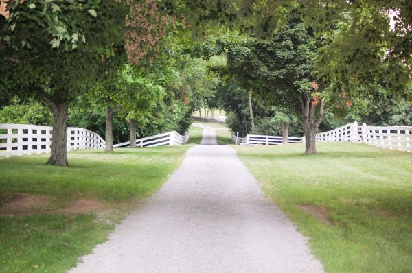 Cost of Gravel Road Installation in Powell