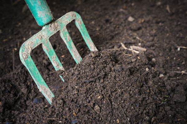 Cost of Topsoil Spreading in Powell