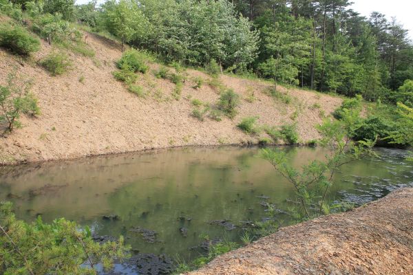 Cost of Pond Erosion Repair in Powell